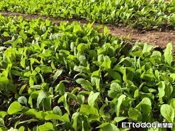 ▲▼ 內蒙留稿、2026            。（圖／記者任以芳攝）