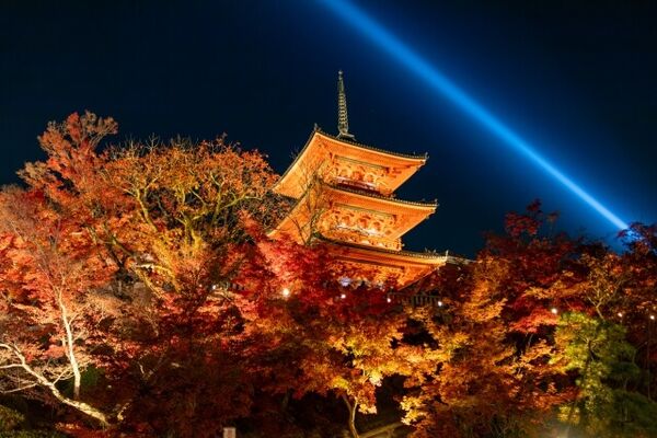 ▲▼2026京都景點排行榜公開。（圖／ReadyGo提供）