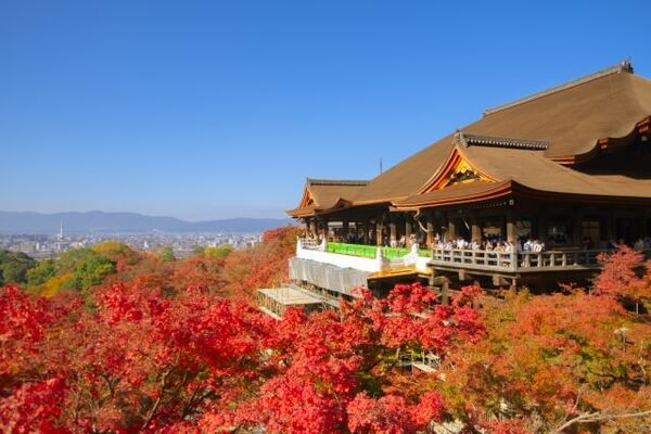 ▲▼2026京都景點排行榜公開。（圖／ReadyGo提供）