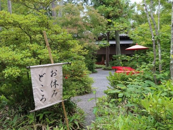 ▲▼2026京都景點排行榜公開。（圖／ReadyGo提供）