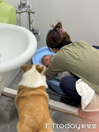 貓咪與寶寶。（圖／Threads@my.dog.cat.so.cute提供）