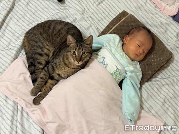 貓咪與寶寶。（圖／Threads@my.dog.cat.so.cute提供）