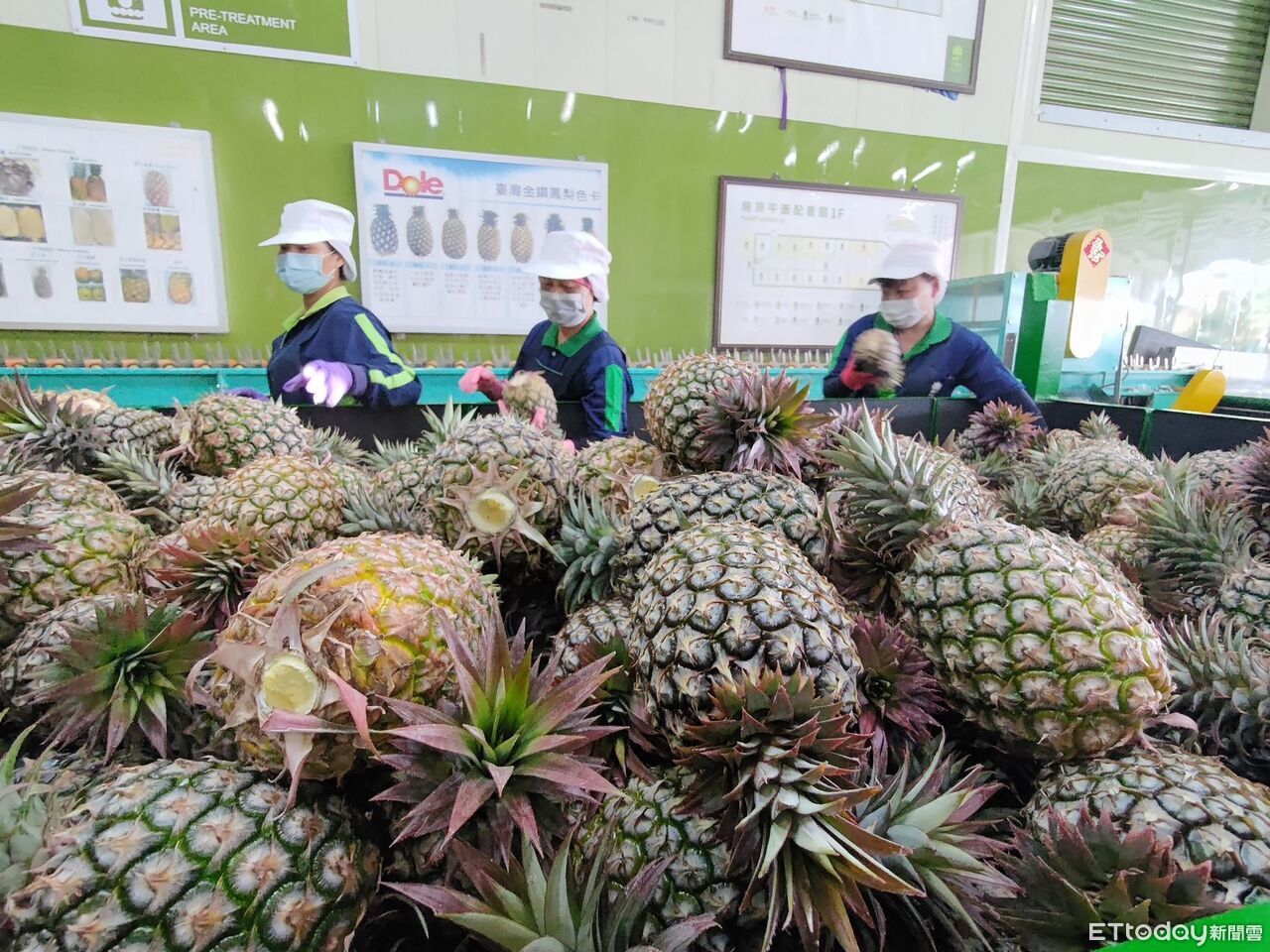 台灣鳳梨首度獲美國檢疫認可 農業部:最快5月底出口