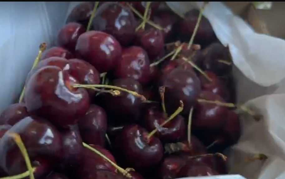 花2800買到「殭屍櫻桃」發霉裂開還流汁 業者:有問題可換