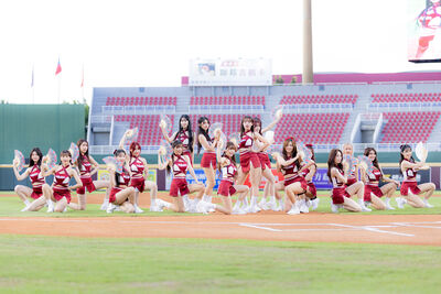 樂天女孩全新陣容首曝光！見面會限量200席「買票時間、方法一次看」