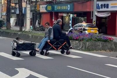 台北街頭驚見「電動小火車」載娃過馬路！網笑：天龍人的鬆弛感