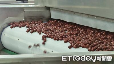 河南紅棗教父每年狂銷千億　黑科技去核即食、九蒸九製領跑市場