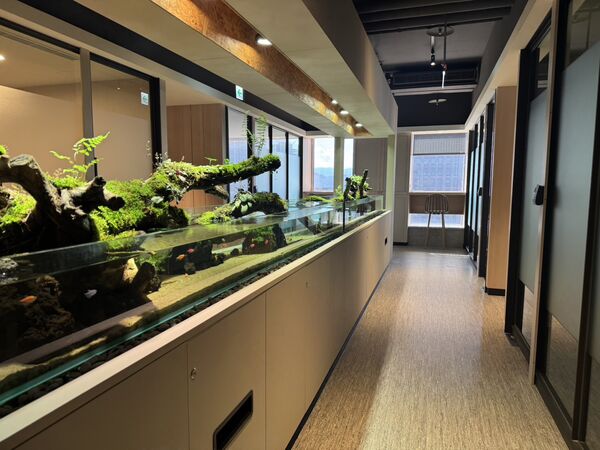 ▲大型生態水族箱與自然元素設計，讓視覺保有流動感與舒緩節奏。（圖／韻華提供）