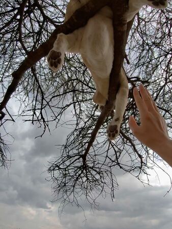 ▲▼盧弘喆。（圖／翻攝自Instagram／rohongchul）