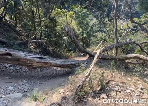 ▲▼             。（圖／記者李陳信得攝）