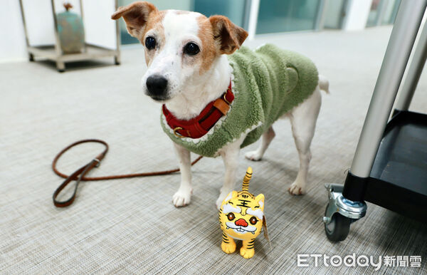 ▲▼  蔡英文辦公室掛「福氣加碼」。（圖／蔡英文辦公室提供）