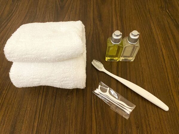 日本飯店NG行為清單 凍結春節旅遊小心違規偷盜