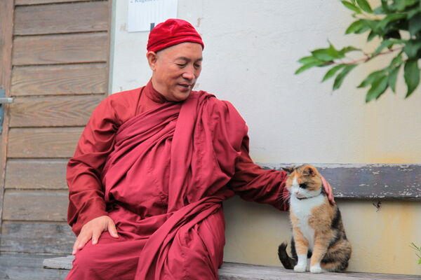 ▲▼ 靈鷲山靈性生態。（圖／記者賴賴攝）