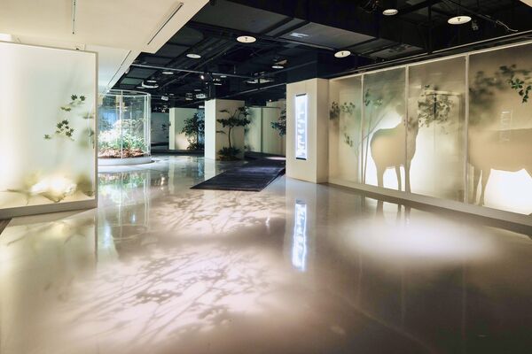 ▲▼ 靈鷲山靈性生態。（圖／記者賴賴攝）