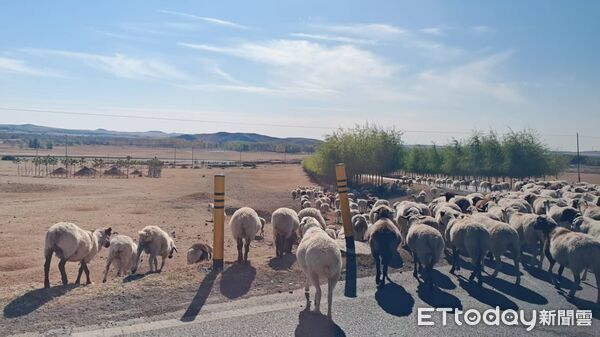 ▲▼  內蒙留稿2026,興安盟大米           。（圖／記者任以芳攝）