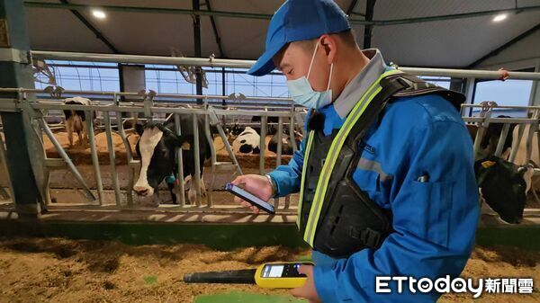 ▲▼  內蒙留稿6 乳牛、科技養牛、和牛        。（圖／記者任以芳攝）