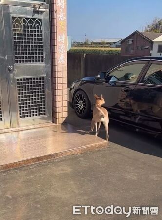 ▲。（圖／Threads@southside99k提供，請勿隨意翻拍，以免侵權。）