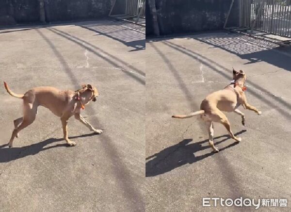 ▲。（圖／Threads@southside99k提供，請勿隨意翻拍，以免侵權。）