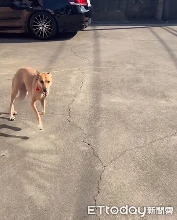 ▲。（圖／Threads@southside99k提供，請勿隨意翻拍，以免侵權。）