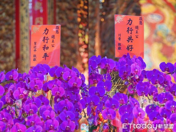 ▲▼             。（圖／廖大乙提供）