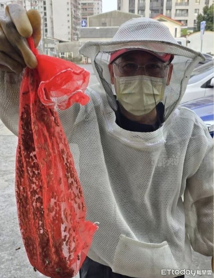一年捉蛇6千隻、摘蜂巢4千巢 台南捕蜂捉蛇機制更即時
