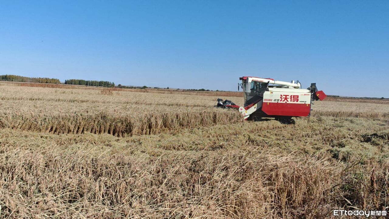 ▲▼  內蒙留稿2026,興安盟大米           。（圖／記者任以芳攝）