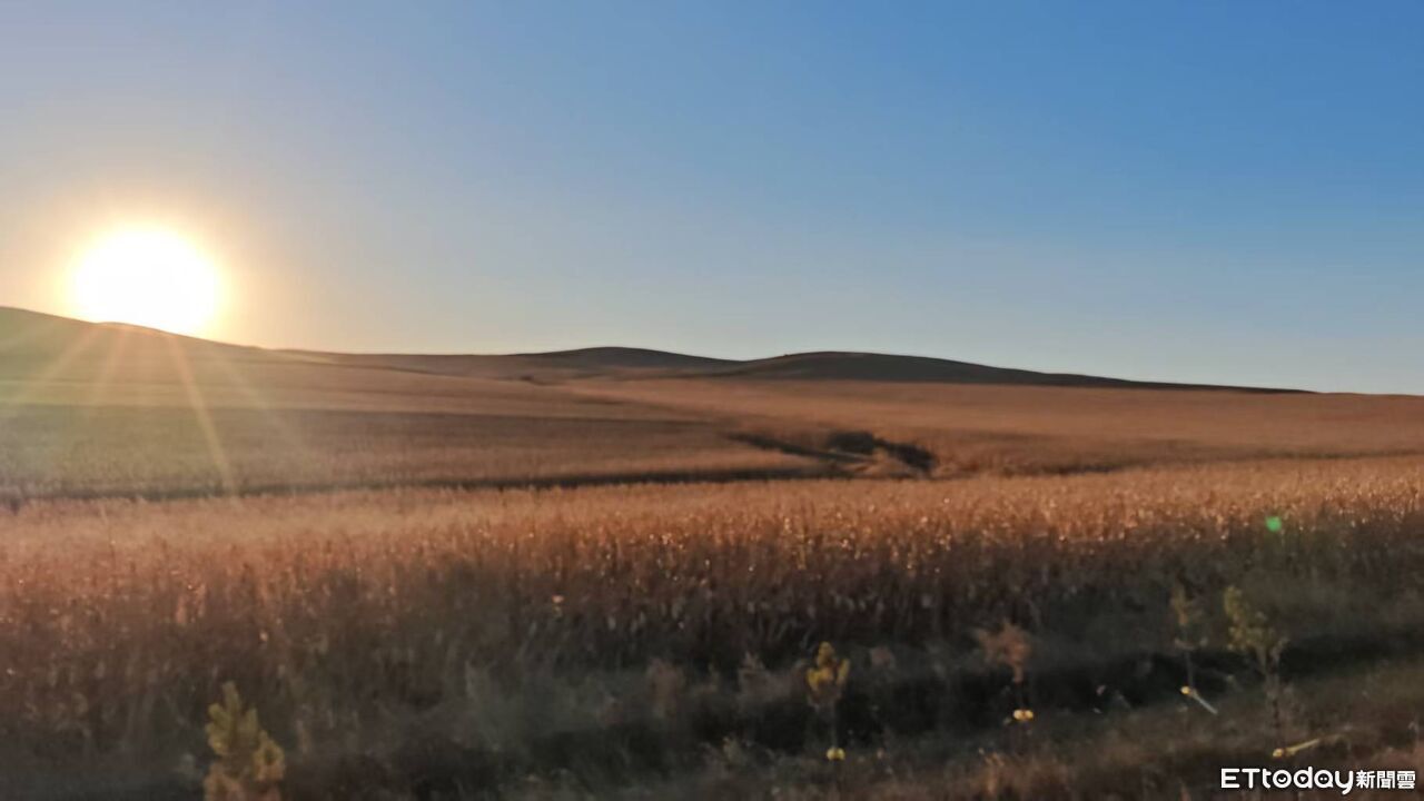 ▲▼  內蒙留稿6 乳牛、科技養牛、和牛        。（圖／記者任以芳攝）