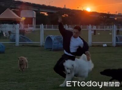 帶阿金奔跑遇「最可愛車禍」　肇事耶耶呆萌燦笑超無辜