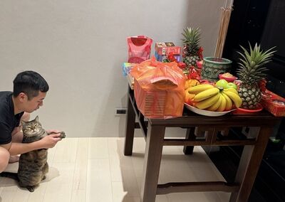 除夕拜天公「帶小貓合掌」　牠厭世臉參加：拜完最好給我加菜