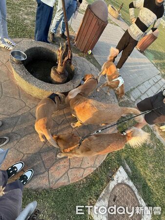 ▲。（圖／Thread@33315_s提供，請勿隨意翻拍，以免侵權）