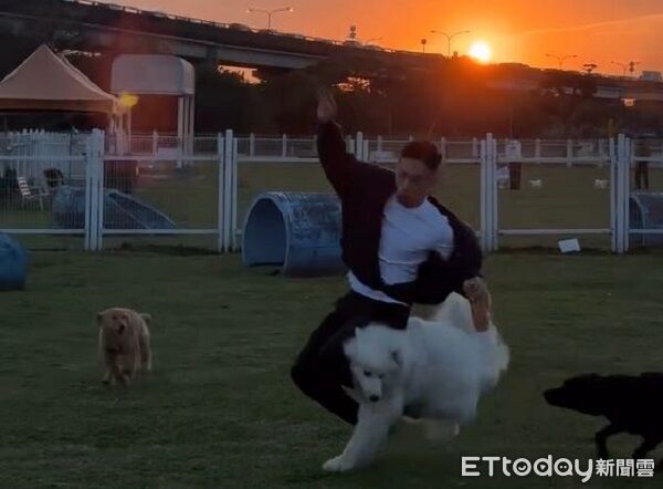 愛寵意外車禍 薩摩耶撞倒爸爸仍呆萌笑開花