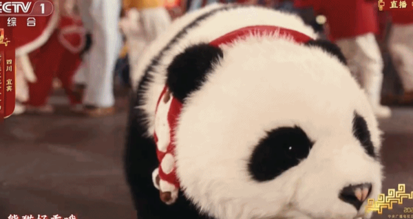 ▲▼ 央視、春晚、馬年、2026、機器人與言承旭尬舞、貓熊、（圖／翻攝 2026央視春晚）