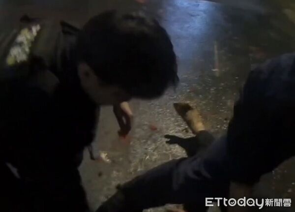 ▲警方在盤查施放煙火民眾時，一名酒醉無法出示證件的男子卻趁機逃跑，為警方壓制逮捕。（圖／大園警分局提供）