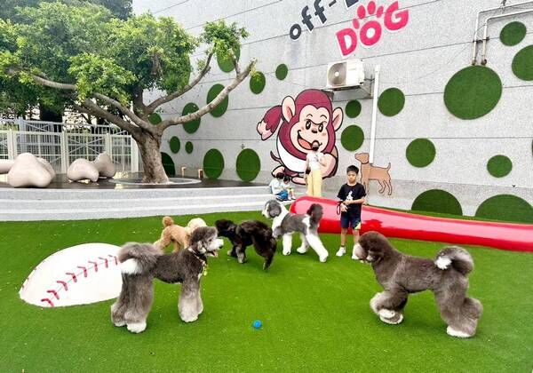 ▲桃園推薦四大寵物輕旅行路線