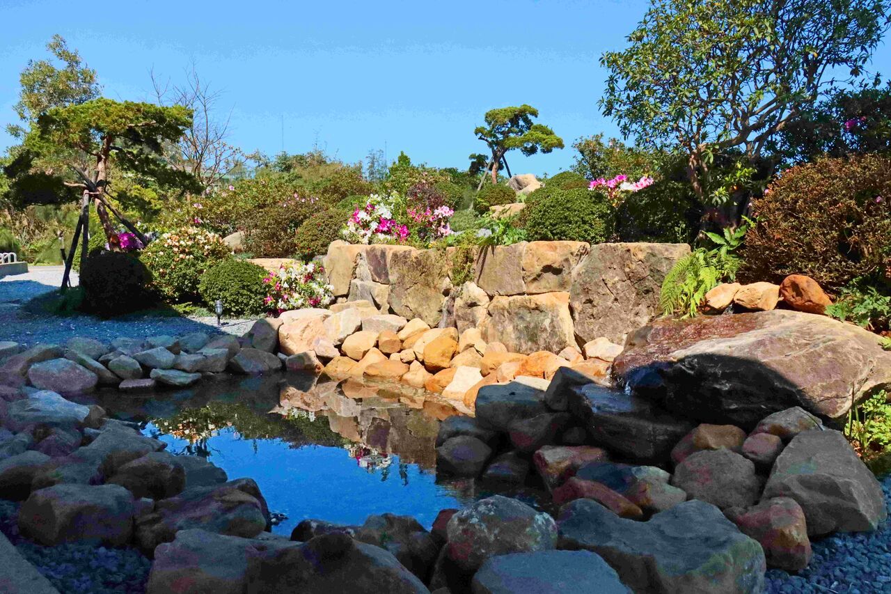 新北萬金杜鵑花展添新亮點 大鵬足湯「滿山園」春節亮相