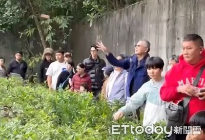 動物園遊客「亂丟橘子」餵猩猩！　被警告還假裝沒聽見