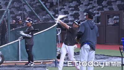 經典賽臺灣運彩奪冠賠率出爐　中華隊83倍居中後段班