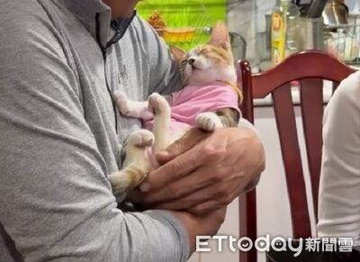 第一次回家過年！小三花「收服舅舅」　躺懷裡睡著擄獲他的心