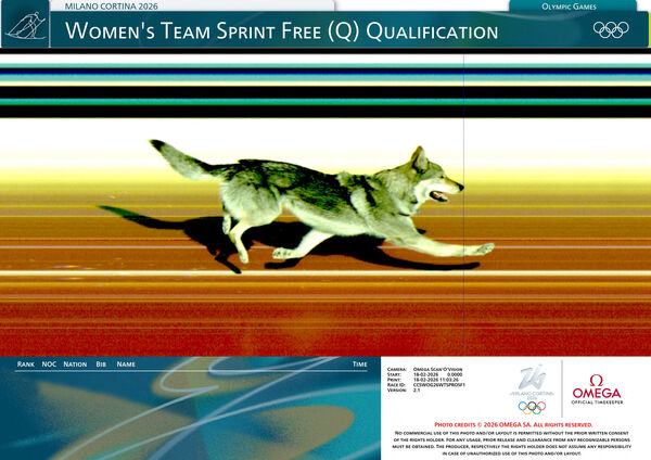 ▲▼狼犬突參賽冬奧越野滑雪，一路衝到終點！（圖／路透）