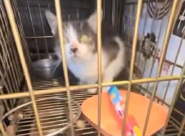 ▲ 。（圖／翻攝自Threads／@l27s1y）