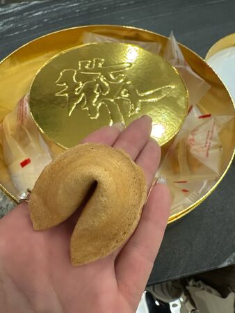 ▲▼麻衣。（圖／翻攝自Instagram／mai_sato_1113）