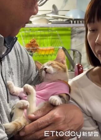 ▲。（圖／網友Threads@hannahchen.tw提供，請勿隨意翻拍，以免侵權。）