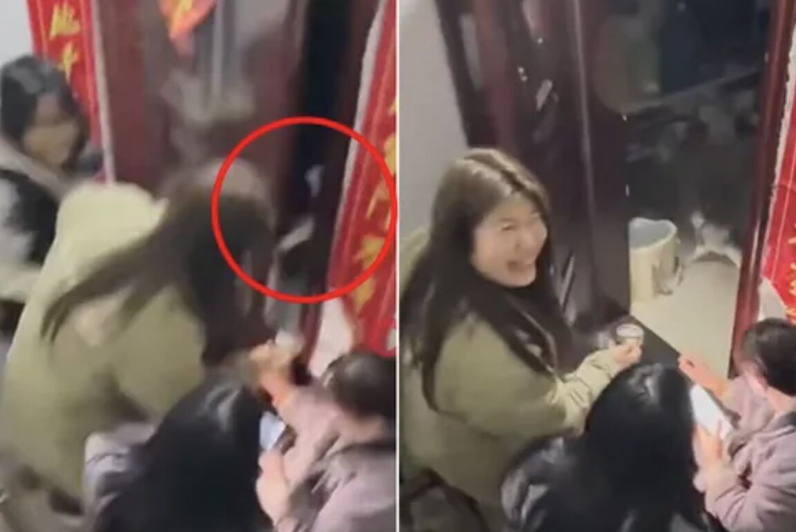 除夕全家忘帶鑰匙 把貓丟進家裡「5分鐘後門開了」