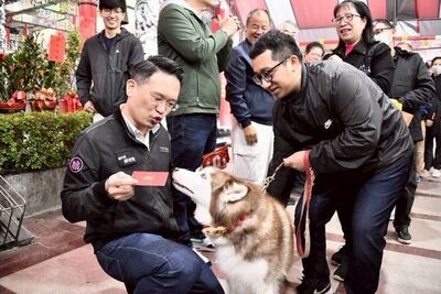 桃園副市長蘇俊賓走訪宮廟參香、廣發福袋　毛小孩也有