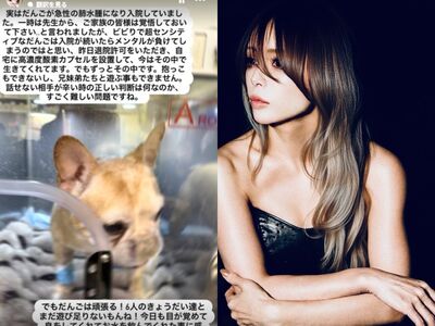 濱崎步愛犬病危！醫師告知「請做好準備」心碎…重金設氧氣艙續命