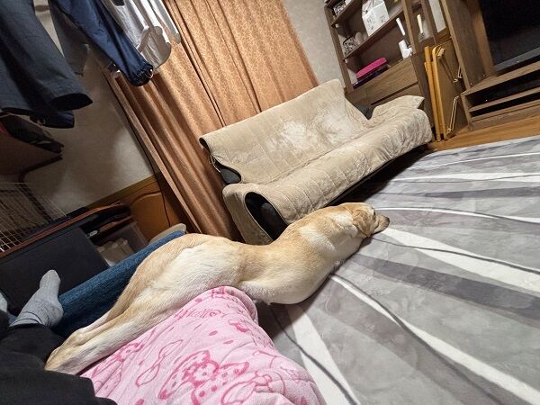 ▲。（圖／翻攝X／＠eru0902）