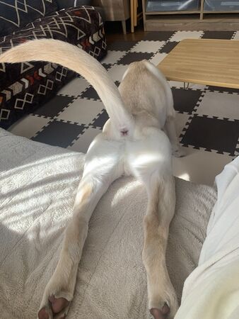 ▲。（圖／翻攝X／＠eru0902）