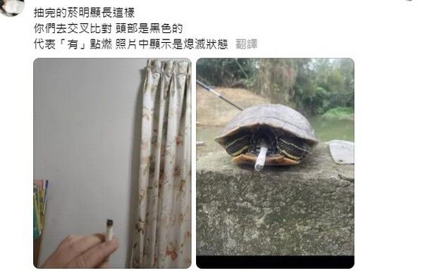 ▲桃園某國中學生烏龜嘴裡塞香菸引熱議
