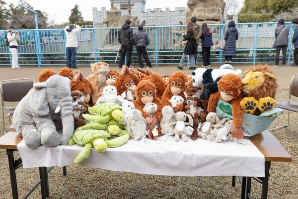 日本IKEA送動物園玩偶大禮包。（圖／翻攝自市川市役所臉書）