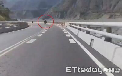 遊南橫遇劫！男墜瓦筏哈橋50米溪谷亡　騎車撞護欄消失畫面曝